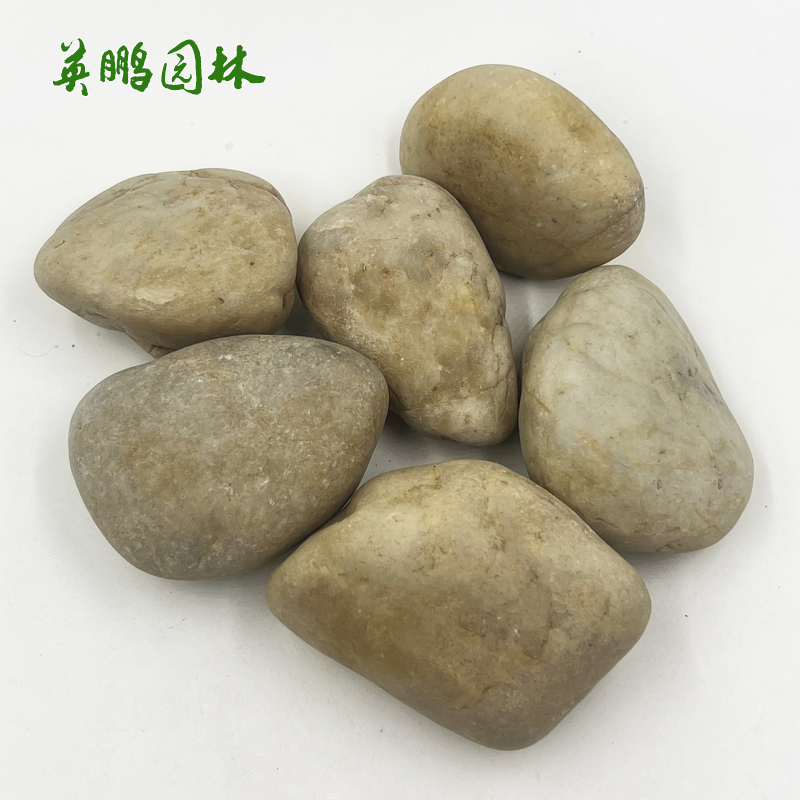  抛光雨花石 园林景观拼装铺路黄色鹅卵石 五彩普抛卵石
