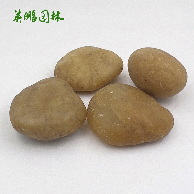 英鹏生产黄色抛光鹅卵石 工程铺路园林装饰用雨花石