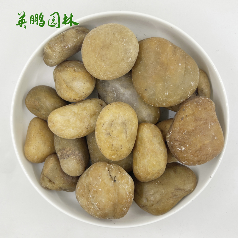 庭院铺路黄色鹅卵石 造景花园铺面园林景观雨花石