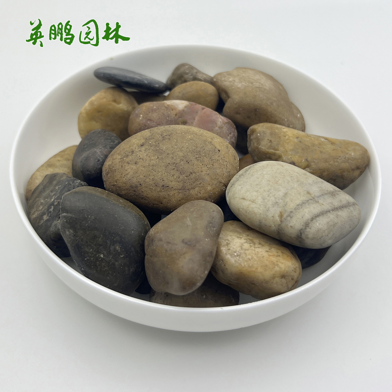 供应雨花石鹅卵石 庭院铺路石头五彩园艺园林景观装饰石