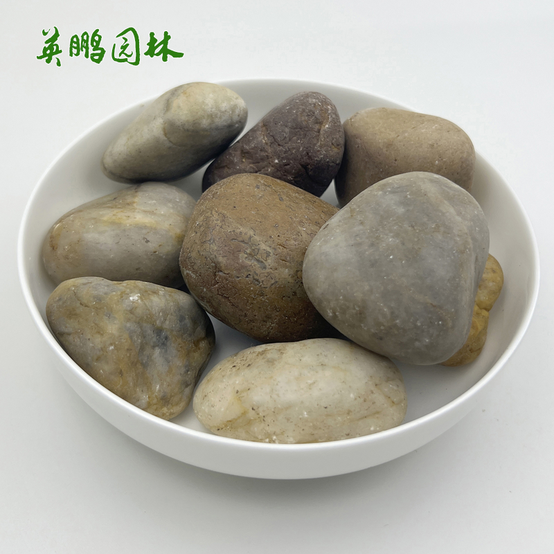 英鹏石业五彩鹅卵石溪滩石 大小杂色雨花石 绿化园林景石