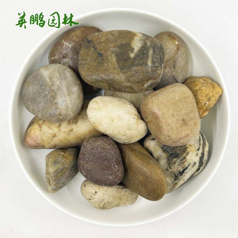 供应五彩雨花石鹅卵石 庭院铺路石头多彩园艺园林景观装饰石