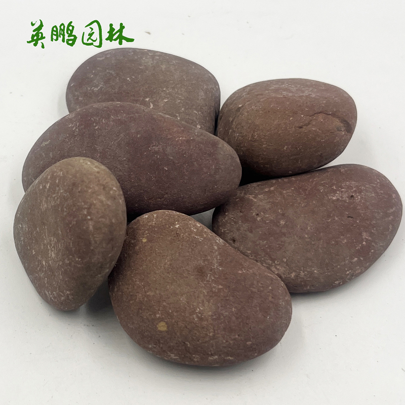 鹅卵石产批发 铺路卵石子 园艺布景鱼缸红色雨花石 多种规格